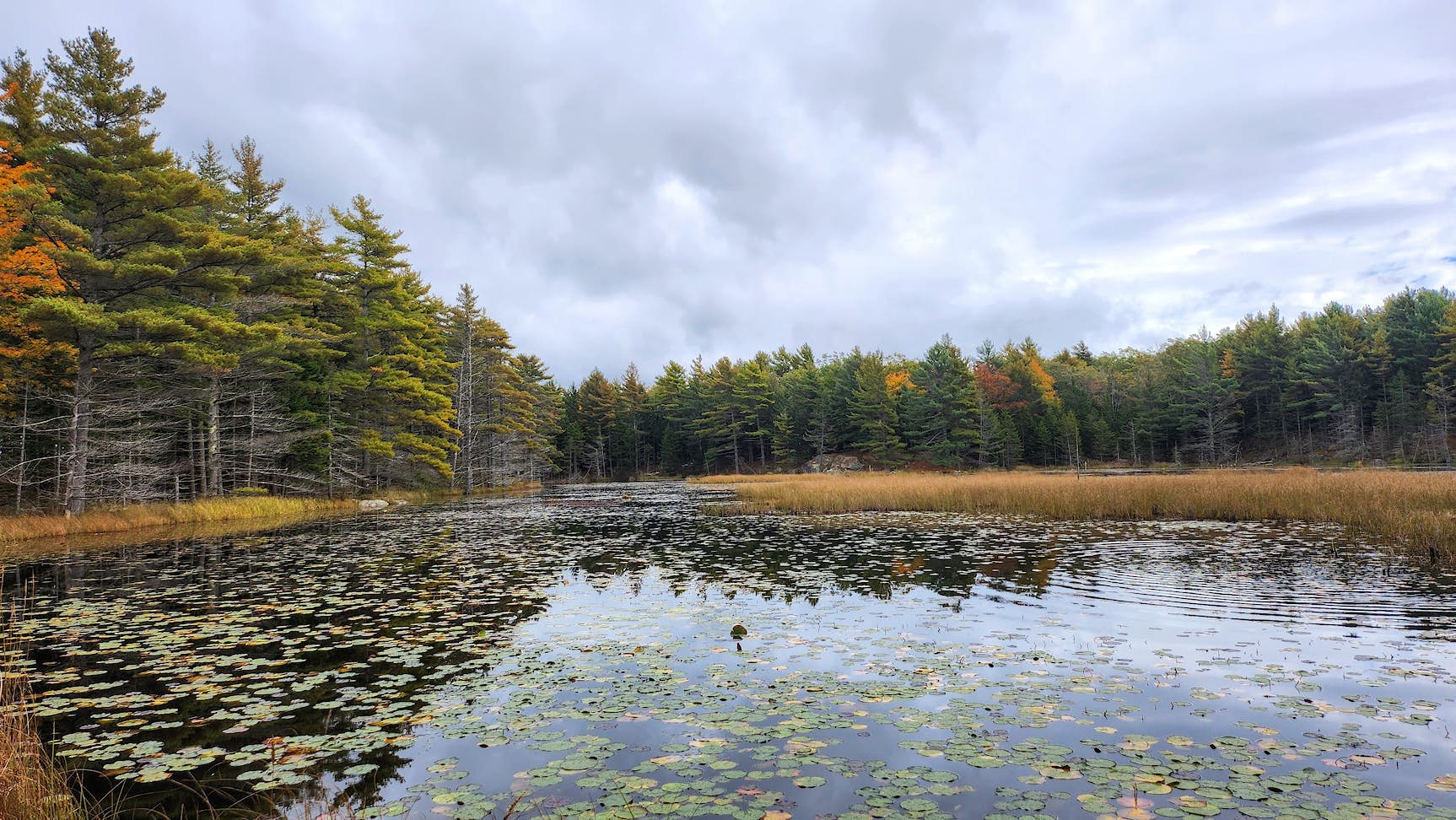 Witch Hole Pond